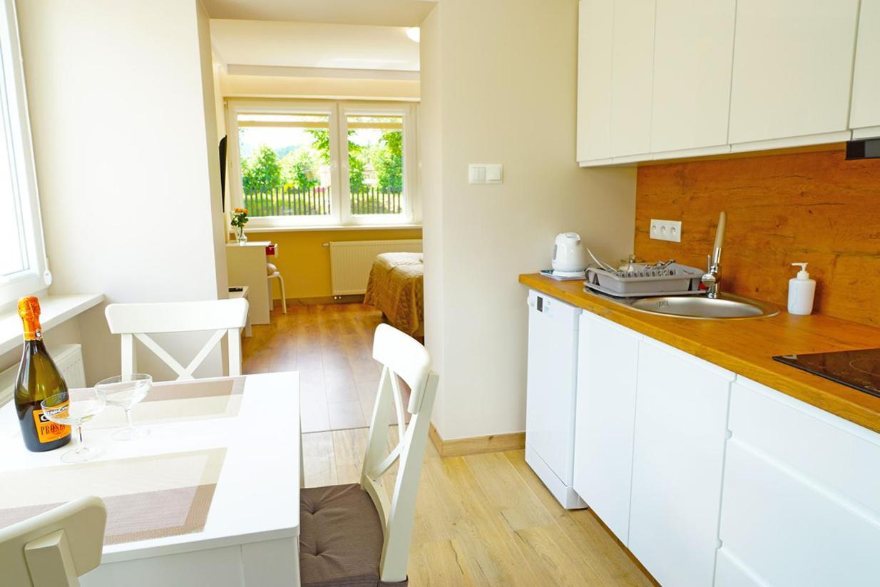 Nad Stawem Apartment Устрон Стая снимка